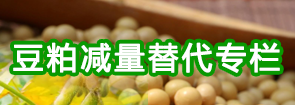 豆粕減量替代專題